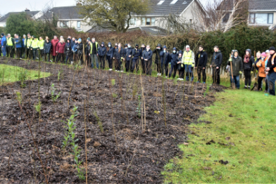 Tree Planting in Colaiste Bride 2022